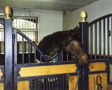 Die Stallungen der Darby-Farm