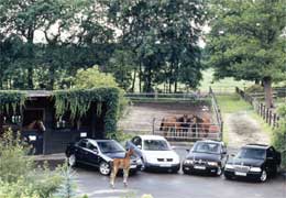 "Mittelklasse-Derby"