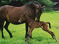 Josefin mit Ernesto Corner